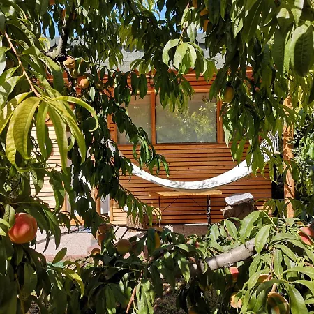 Relax Eaza - Casa Cu Hamac Konstanca