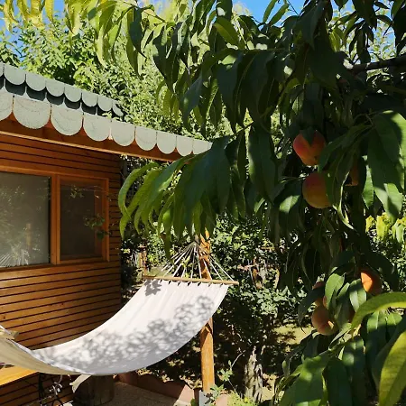 Relax Eaza - Casa Cu Hamac * Köstence