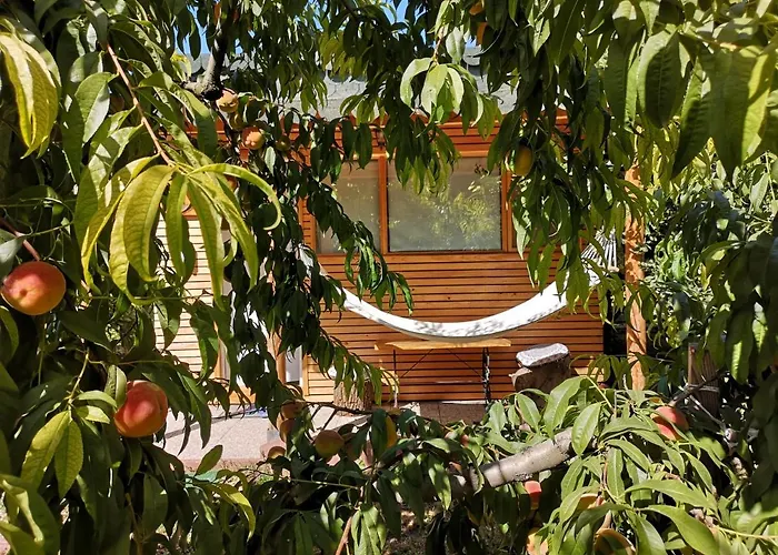 Relax Eaza - Casa Cu Hamac コンスタンツァ