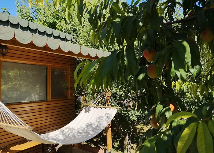 Relax Eaza - Casa Cu Hamac * コンスタンツァ